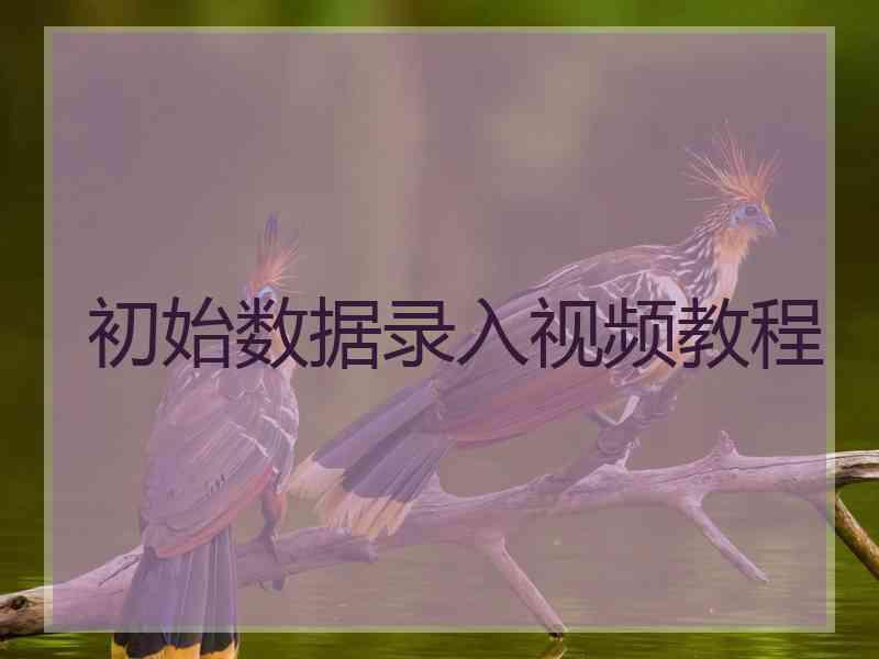 初始数据录入视频教程