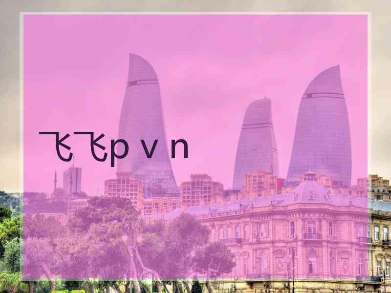 飞飞p v n