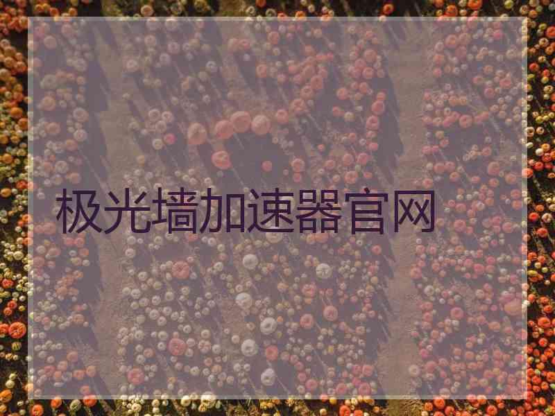 极光墙加速器官网