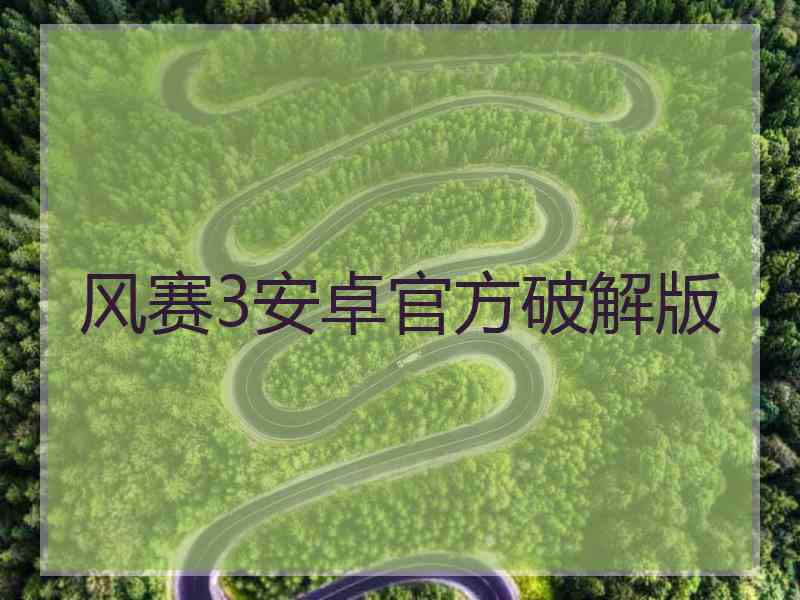风赛3安卓官方破解版