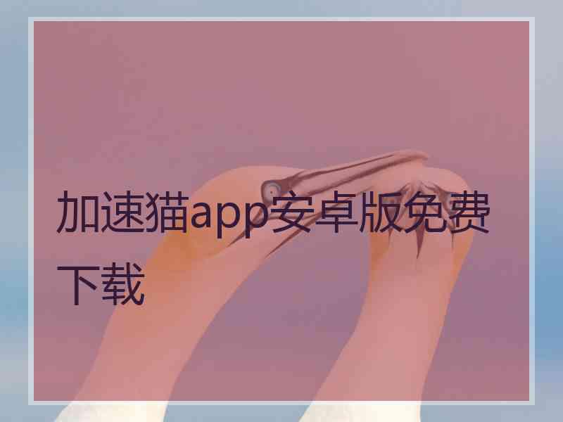 加速猫app安卓版免费下载