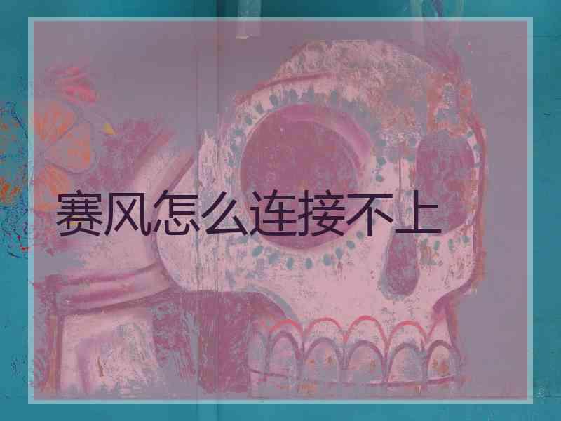 赛风怎么连接不上