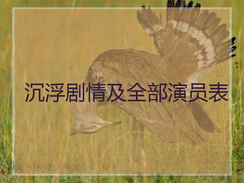 沉浮剧情及全部演员表