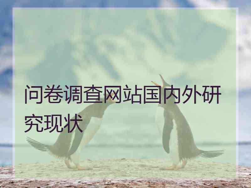 问卷调查网站国内外研究现状