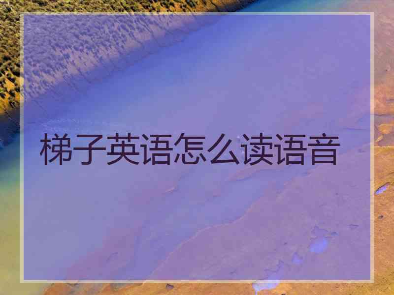 梯子英语怎么读语音