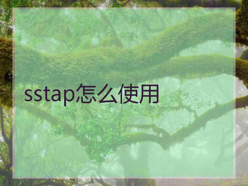 sstap怎么使用