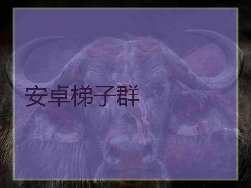 安卓梯子群