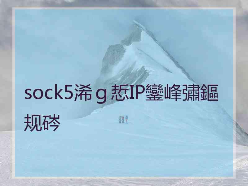 sock5浠ｇ悊IP鑾峰彇鏂规硶