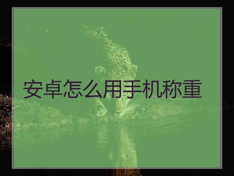安卓怎么用手机称重