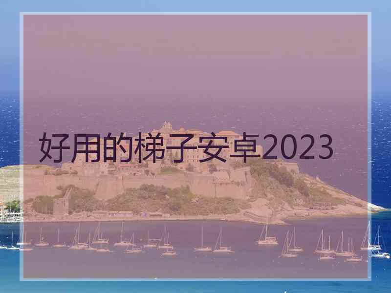 好用的梯子安卓2023
