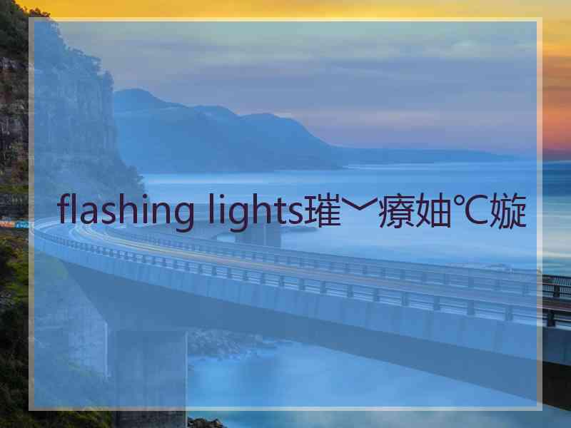 flashing lights璀﹀療妯℃嫙
