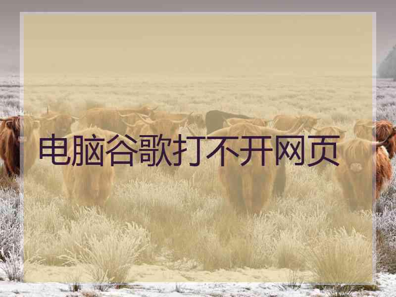 电脑谷歌打不开网页