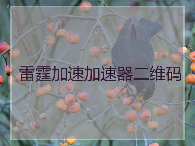 雷霆加速加速器二维码