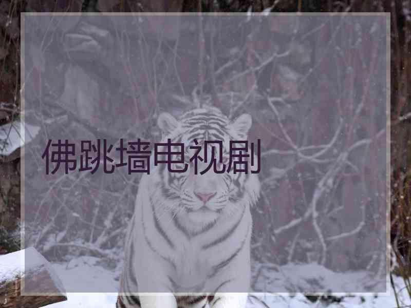 佛跳墙电视剧