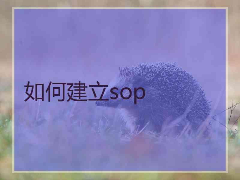 如何建立sop