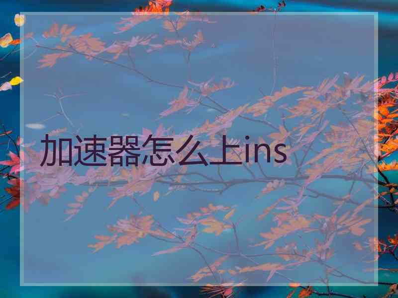加速器怎么上ins