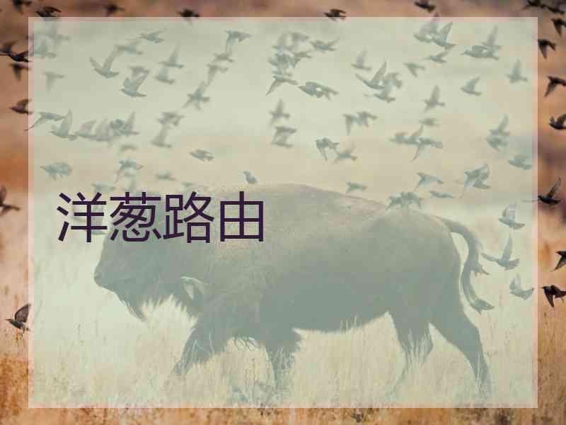 洋葱路由