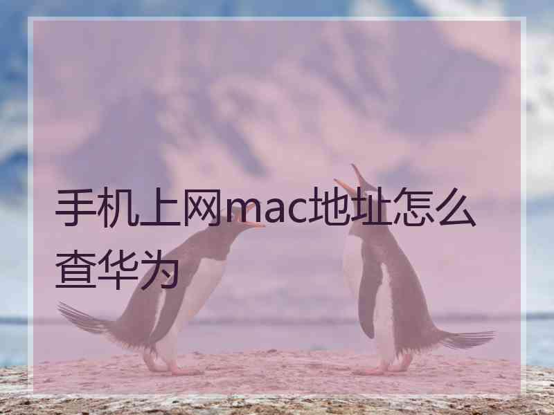 手机上网mac地址怎么查华为