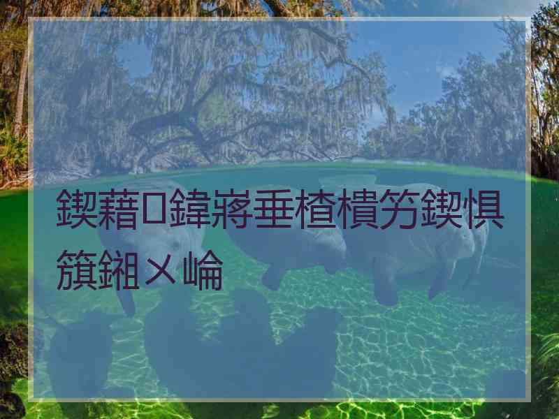 鍥藉鍏嶈垂楂樻竻鍥惧簱鎺ㄨ崘