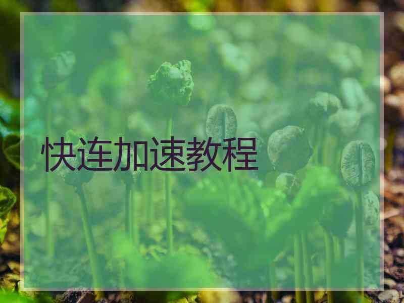 快连加速教程