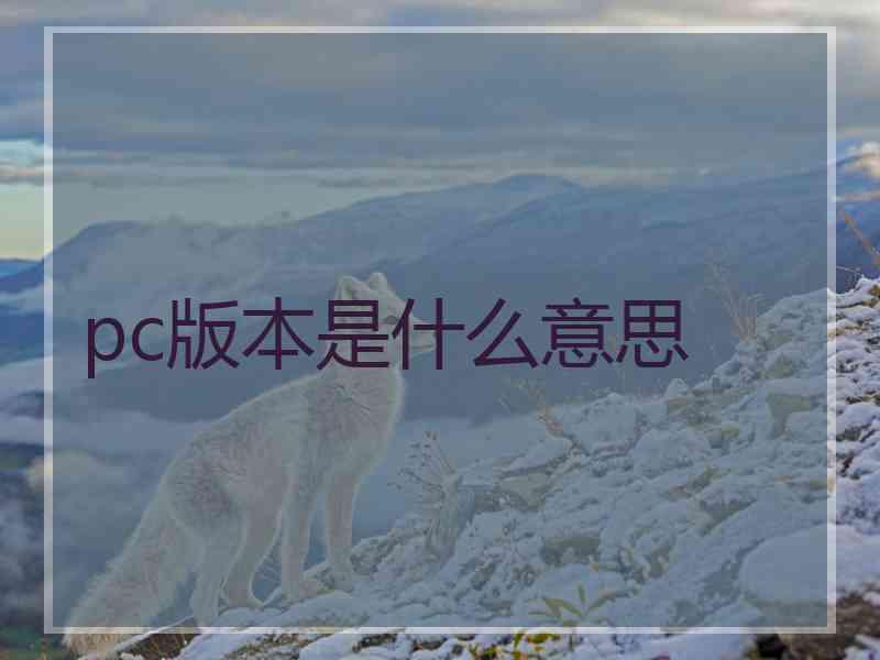 pc版本是什么意思