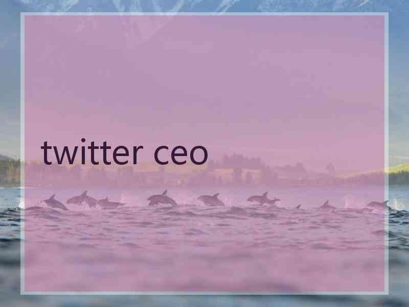 twitter ceo