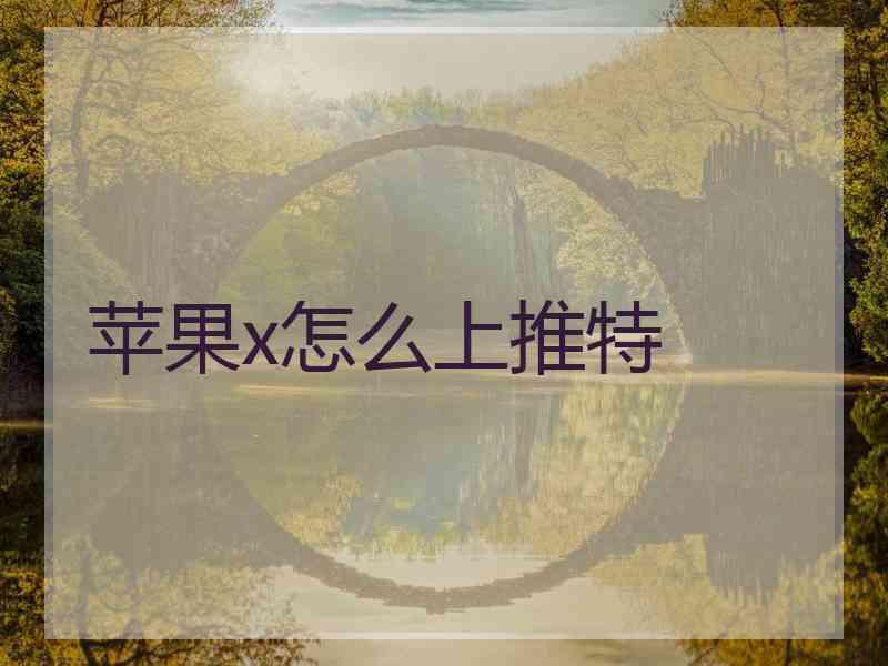 苹果x怎么上推特