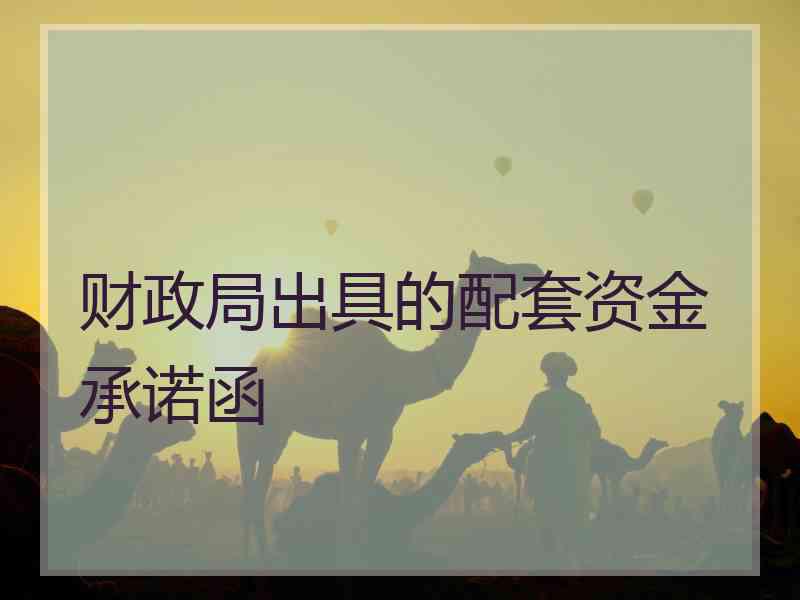 财政局出具的配套资金承诺函
