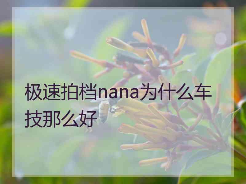 极速拍档nana为什么车技那么好