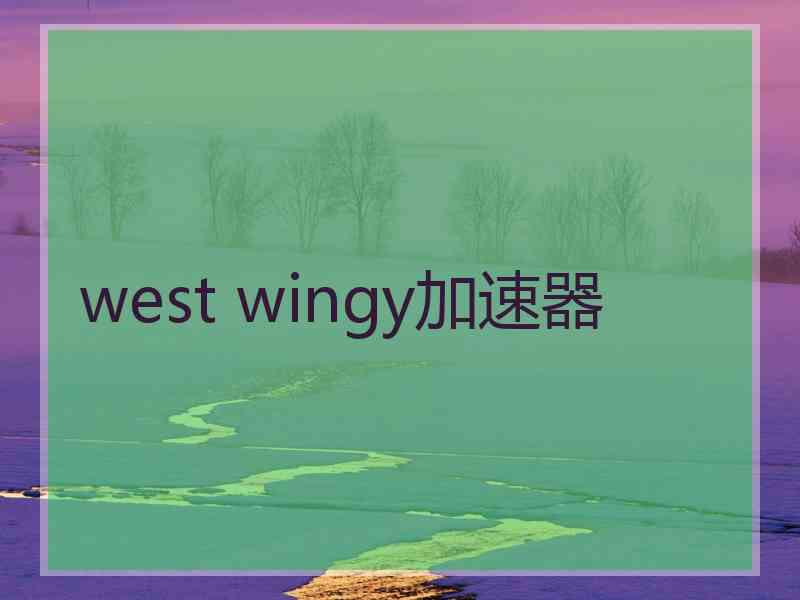 west wingy加速器