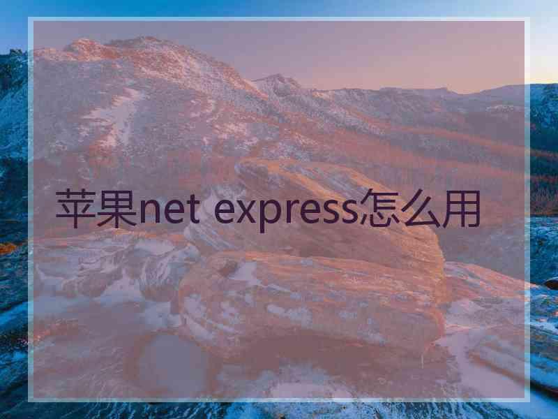 苹果net express怎么用