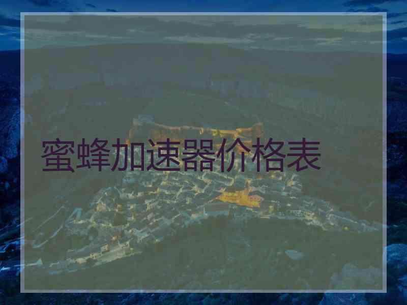 蜜蜂加速器价格表