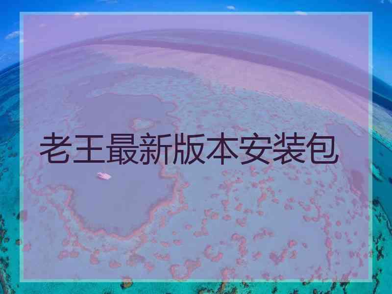 老王最新版本安装包