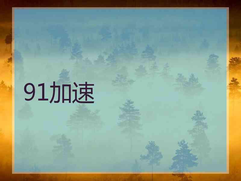 91加速