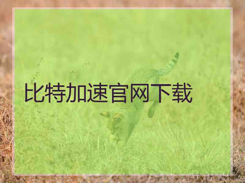 比特加速官网下载
