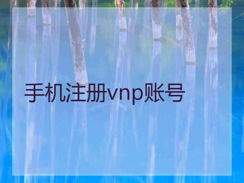 手机注册vnp账号