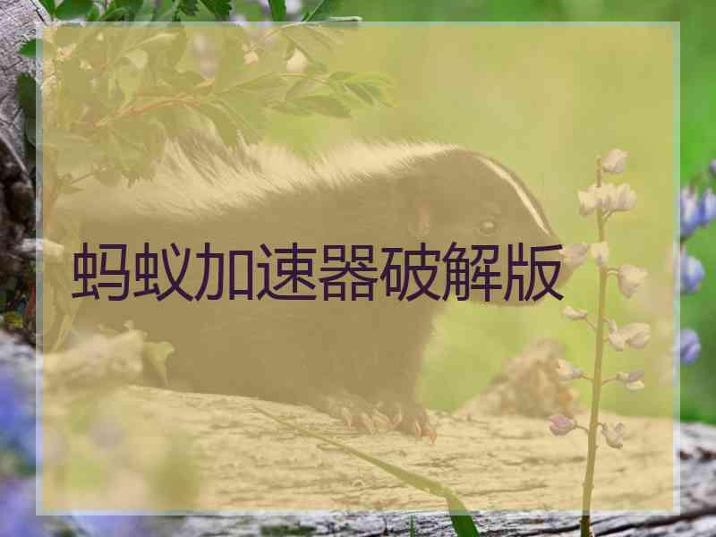 蚂蚁加速器破解版