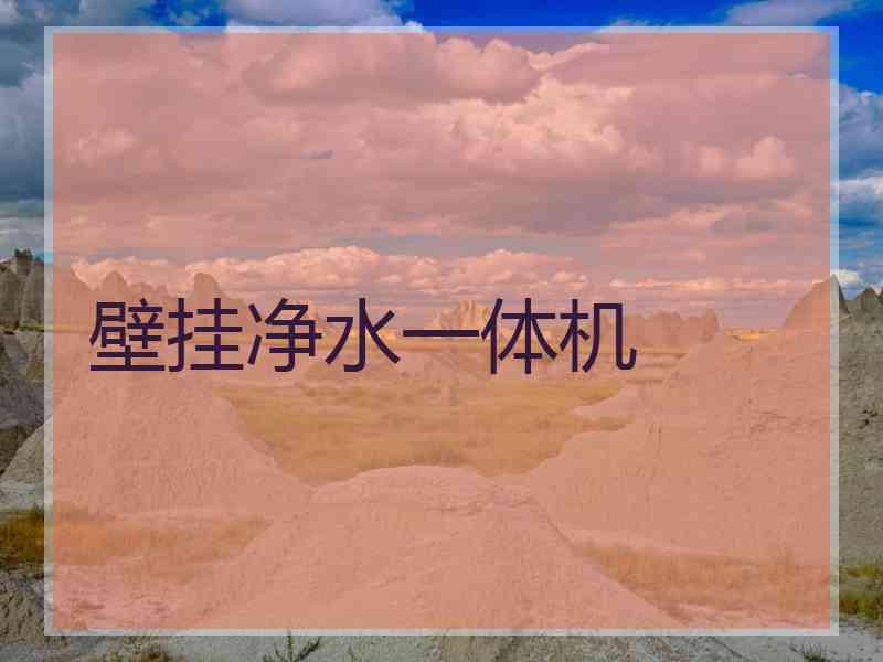 壁挂净水一体机