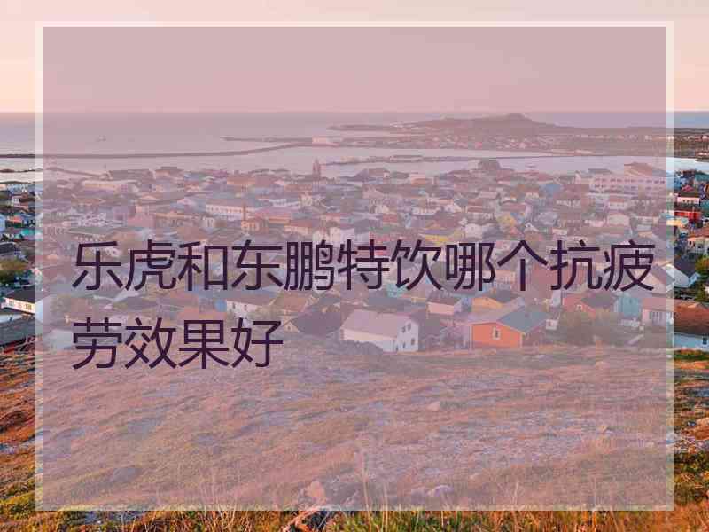 乐虎和东鹏特饮哪个抗疲劳效果好