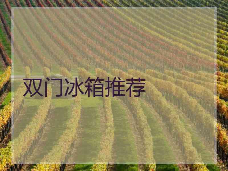 双门冰箱推荐
