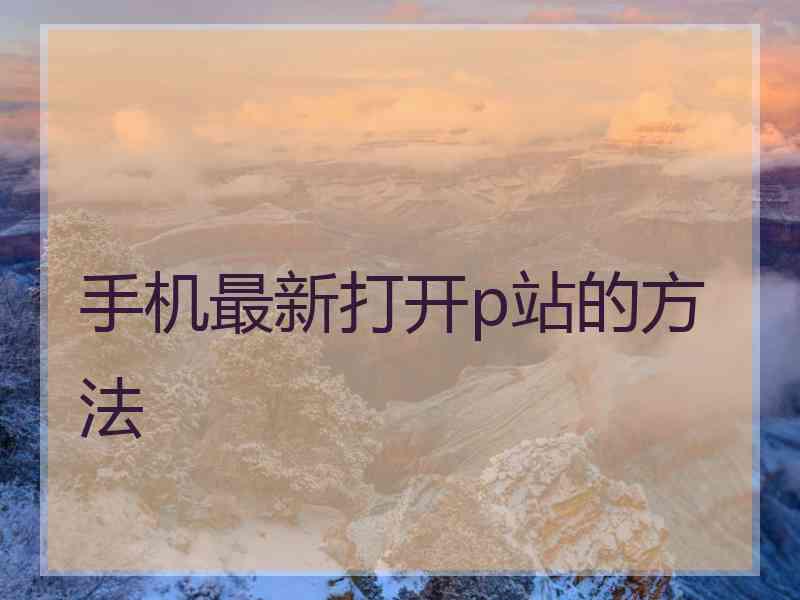 手机最新打开p站的方法