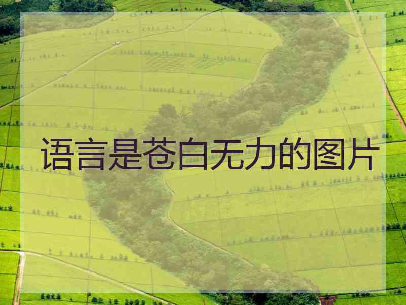 语言是苍白无力的图片