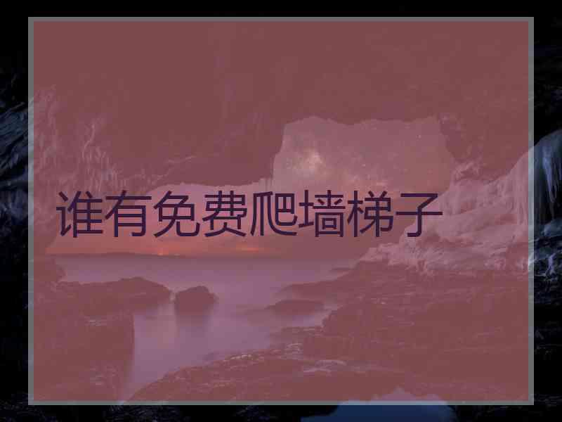 谁有免费爬墙梯子