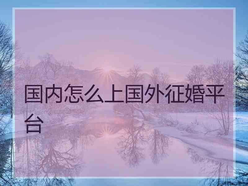 国内怎么上国外征婚平台