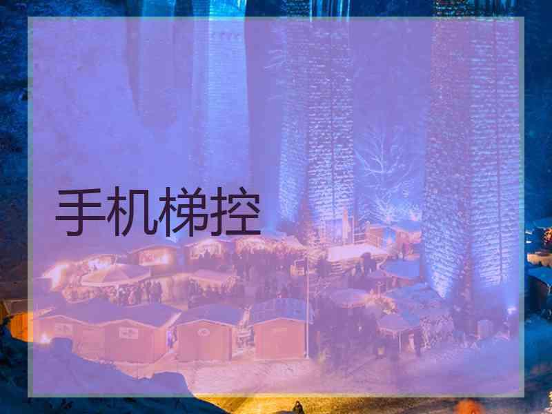 手机梯控