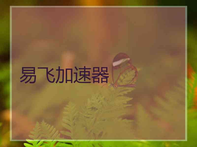 易飞加速器