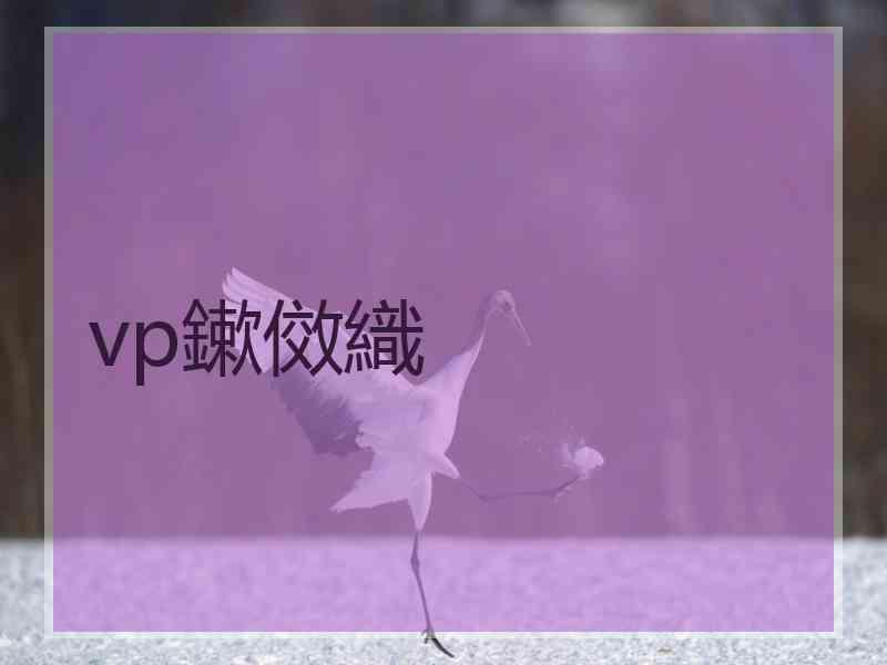 vp鏉傚織