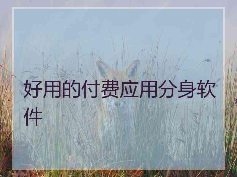 好用的付费应用分身软件