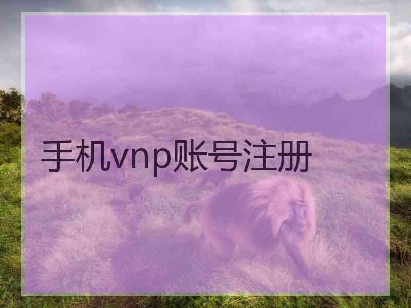 手机vnp账号注册