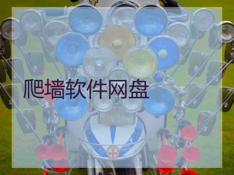 爬墙软件网盘